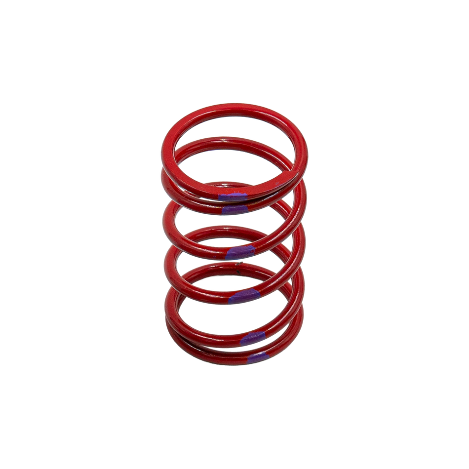 Primary Spring - 65-143 // SKU TP-810005