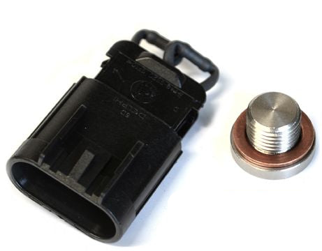 O2 Sensor Blockoff Kit / Polaris