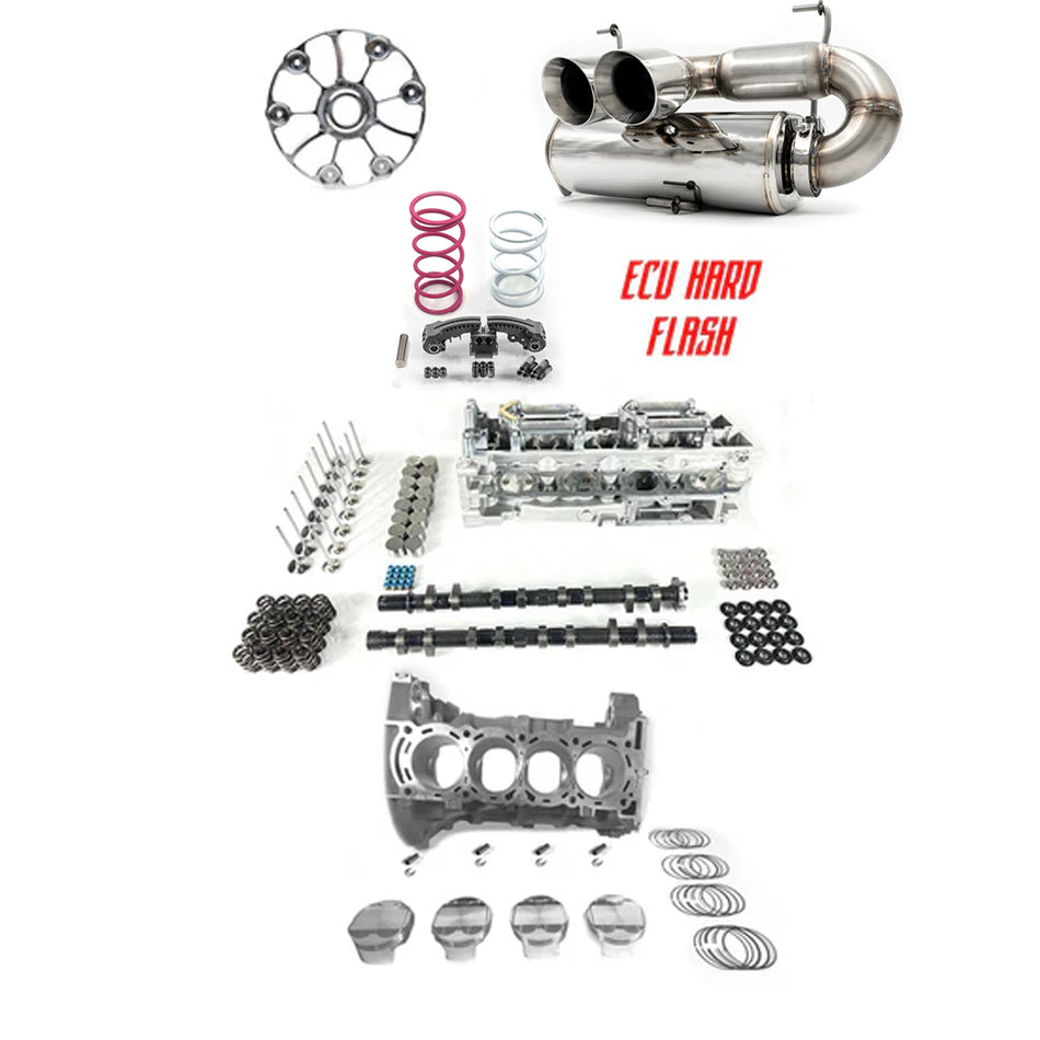 Performance STG5 Kit / Pro R 390hp